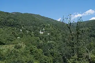 Seltsi