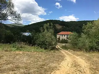 Birino