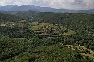 Bomovo