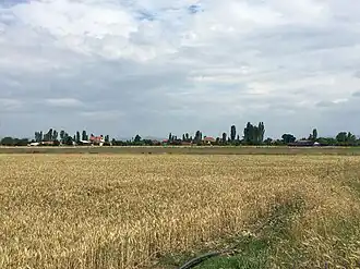 Dolno Aglartsi