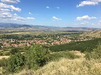Zrnovci