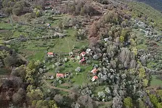 Kavrak