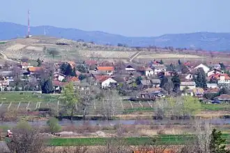 Krivolak