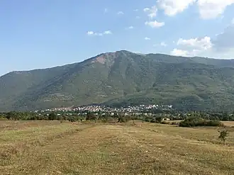 Lisitchani