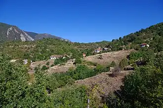 Mrežičko