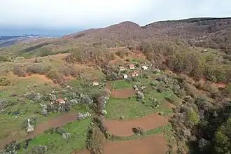 Nejilovo