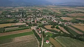 Optitchari