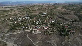 Palikoura