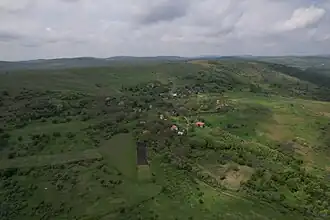 Pestrchino