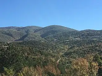 Pripetchani