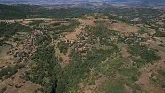 Raytchani