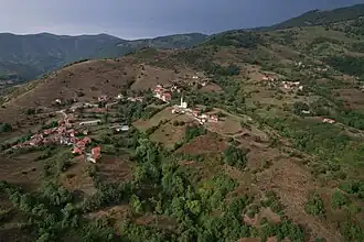 Strayané