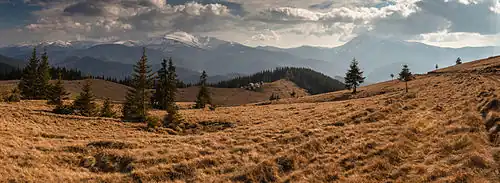 Le temps des moissons en Galicie, aux pieds des Carpates (au fond le mont Hoverla).
