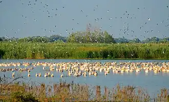 L'île Yermakov.