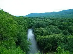 Rivière Pavlovka.