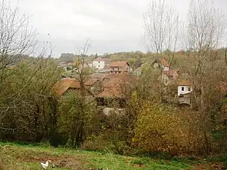 Rujište (Ražanj)