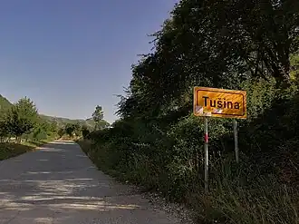 Tušina