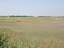 Liman asséché de Krivokoskiy.