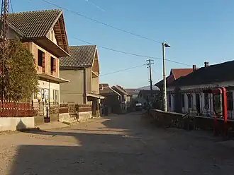 Skorica