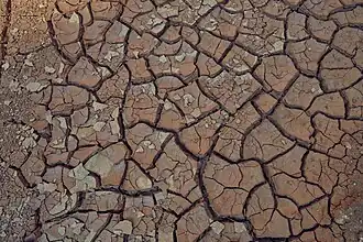 Terrain sec dans le parc. Octobre 2020.