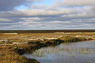 Île Chokalski.