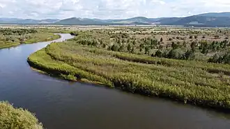 Raïon de Khorinsk