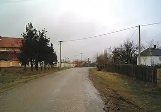 Kožuar
