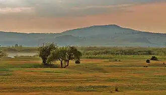 Raïon d'Ivolguinsk