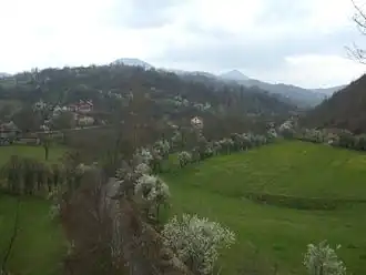 Uševce