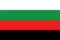 Drapeau de Selydove