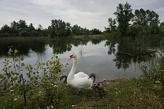 la réserve ornithologique, classée,