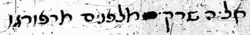 signature d'Elia Morpurgo