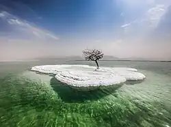 Installation artistique sur la mer Morte pour montrer que ce site bénéficie d'une grande activité touristique avec un bon potentiel relaxant (2018).