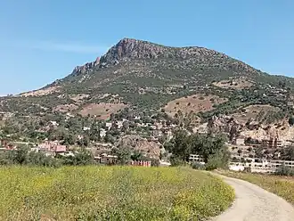 Zerdaza