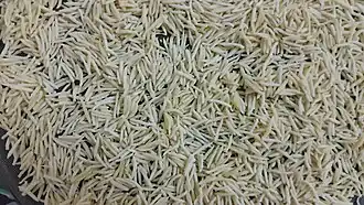 Image illustrative de l’article Hlalem