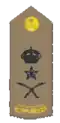 général de corps d'armée (arabe : فريق)