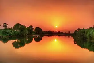 Diwaniya