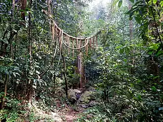 Kavu Kammadam
