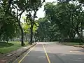 Piste cyclable