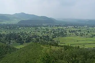 Bannière avant droite de Horqin