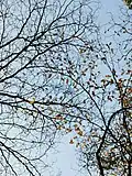 Photo prise en hiver.