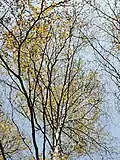 Photo prise en hiver.