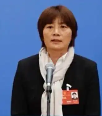 Image illustrative de l’article Shui Qingxia