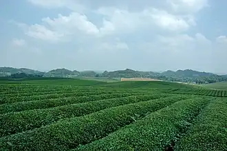 Xian de Meitan