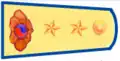 Lieutenant (부위)