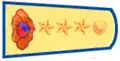 Capitaine (정위)