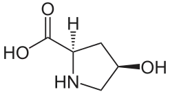 (2R,4R)-4-Hydroxyproline