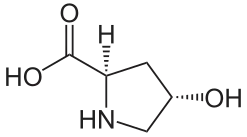 (2R,4S)-4-Hydroxyproline