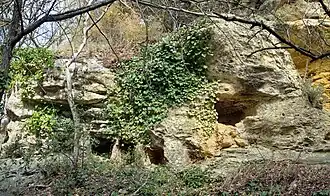 Apier (rucher) rupestre à Jouques, proche d'un abri troglodytique.