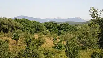 Raïon de Simferopol